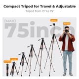 Chân máy ảnh Tripod K&F Concept S255A3+BV01 (KF09.156)