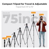 Chân máy ảnh Tripod K&F Concept S255A3+BV01 (KF09.155)