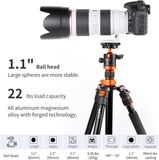 Đầu ball K&F Concept BH-28L ( KF31.023v3 )