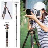 Chân máy ảnh sợi carbon K&F Concept BA225 (KF09.077V3)