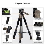 Chân máy ảnh Tripod K&F Concept S255A3+BV01 (KF09.155)