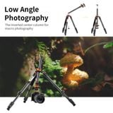 Chân K&F Concepet Carbon Fiber Travel Tripod (KF09.109)