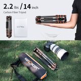 Chân máy ảnh sợi carbon K&F Concept BA225 (KF09.077V3)
