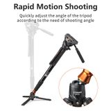 Chân máy ảnh Monopod COMAN DX428AQ6