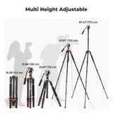Chân Máy ảnh Tripod K&F Concept Carbon O255C4+FH-03 ( KF09.158 )