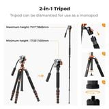 Chân Máy ảnh Tripod K&F Concept Carbon O255C4+FH-03 ( KF09.158 )