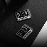 Thẻ nhớ SD Lexar Professional Silver Plus UHS-II U3 V60 512GB