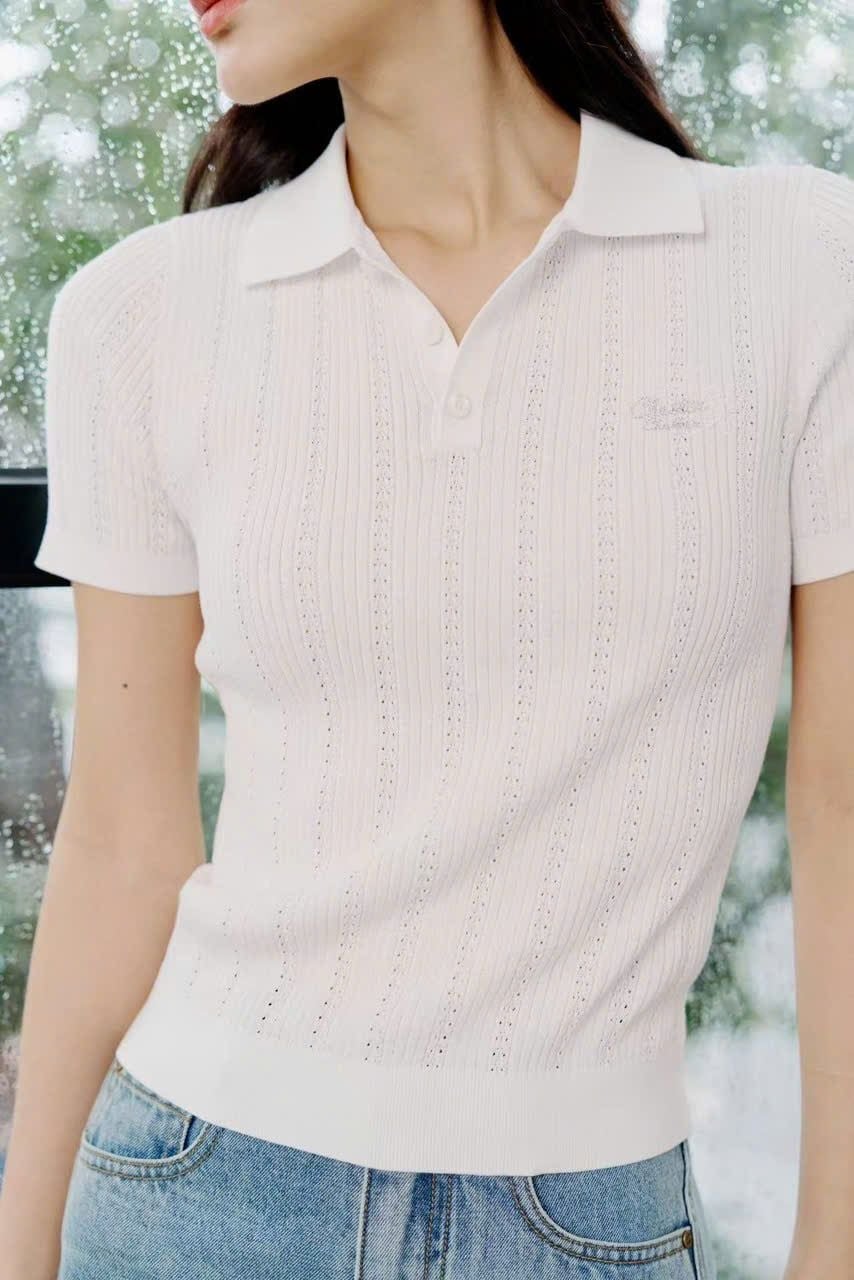 Áo Polo Trắng gân nổi 