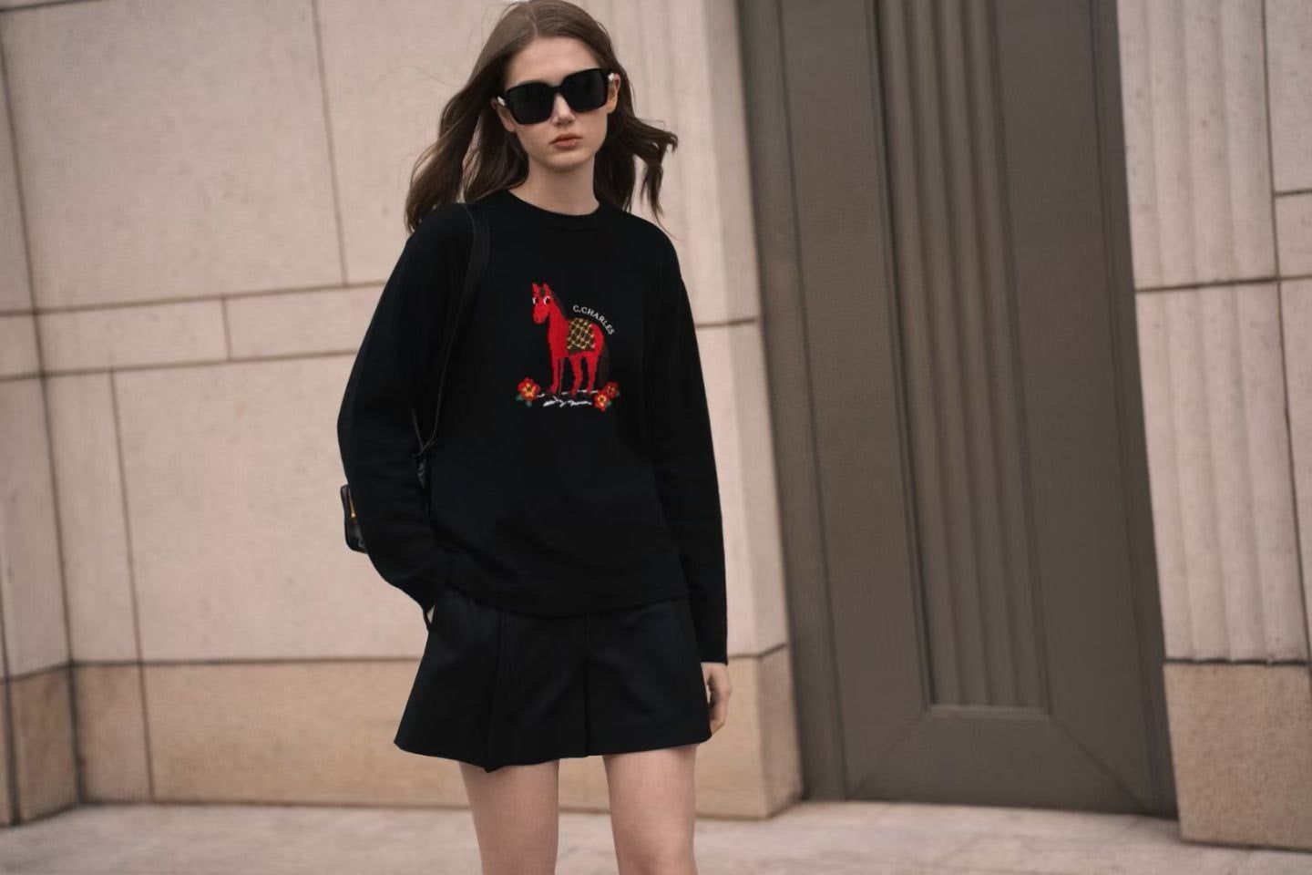  2.Áo len đen dài tay chú ngựa đỏ 