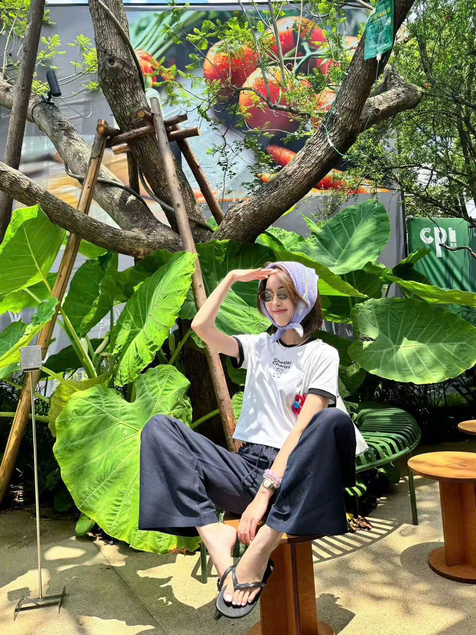  Áo phông trắng - chữ trên gấu dưới 