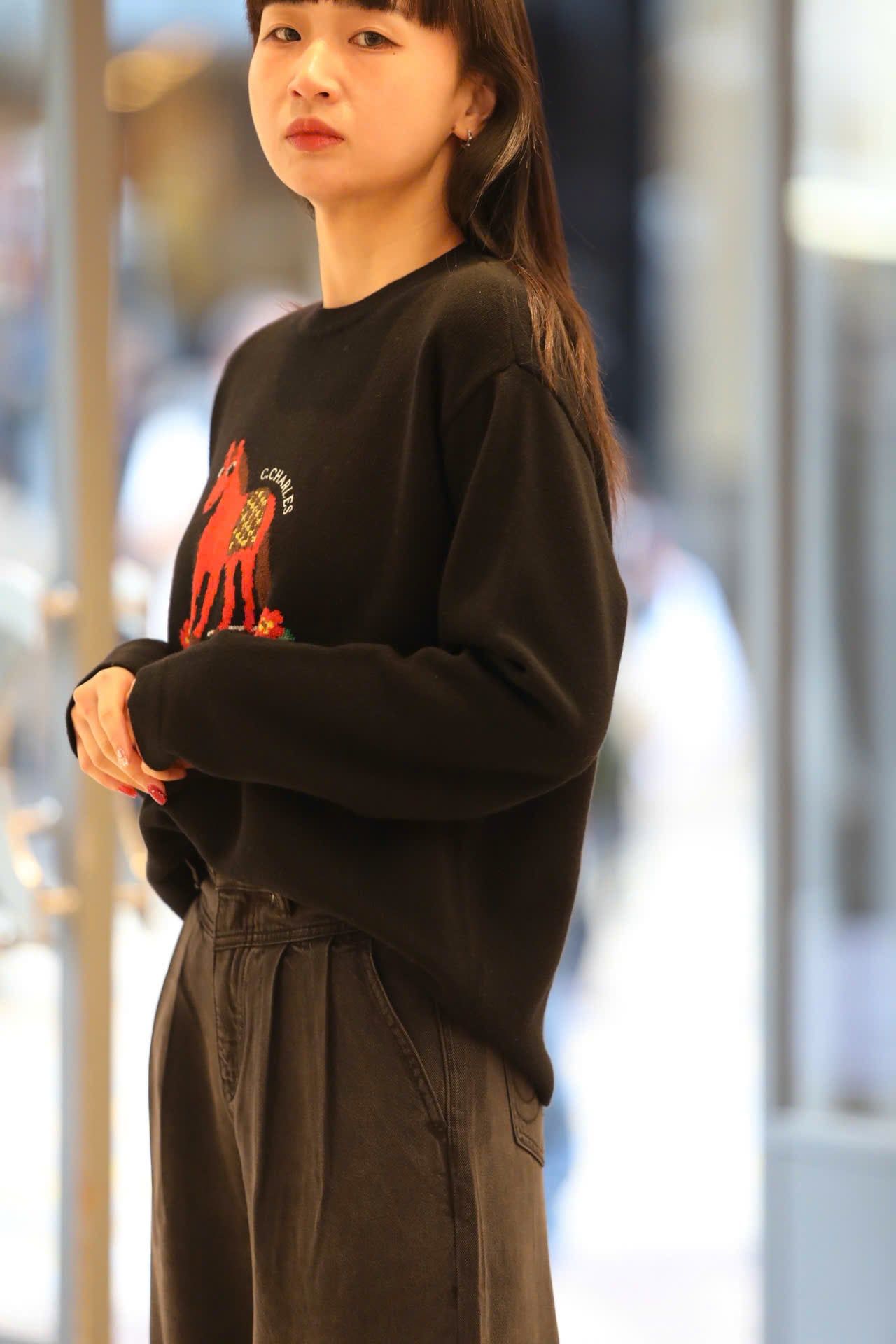  2.Áo len đen dài tay chú ngựa đỏ 