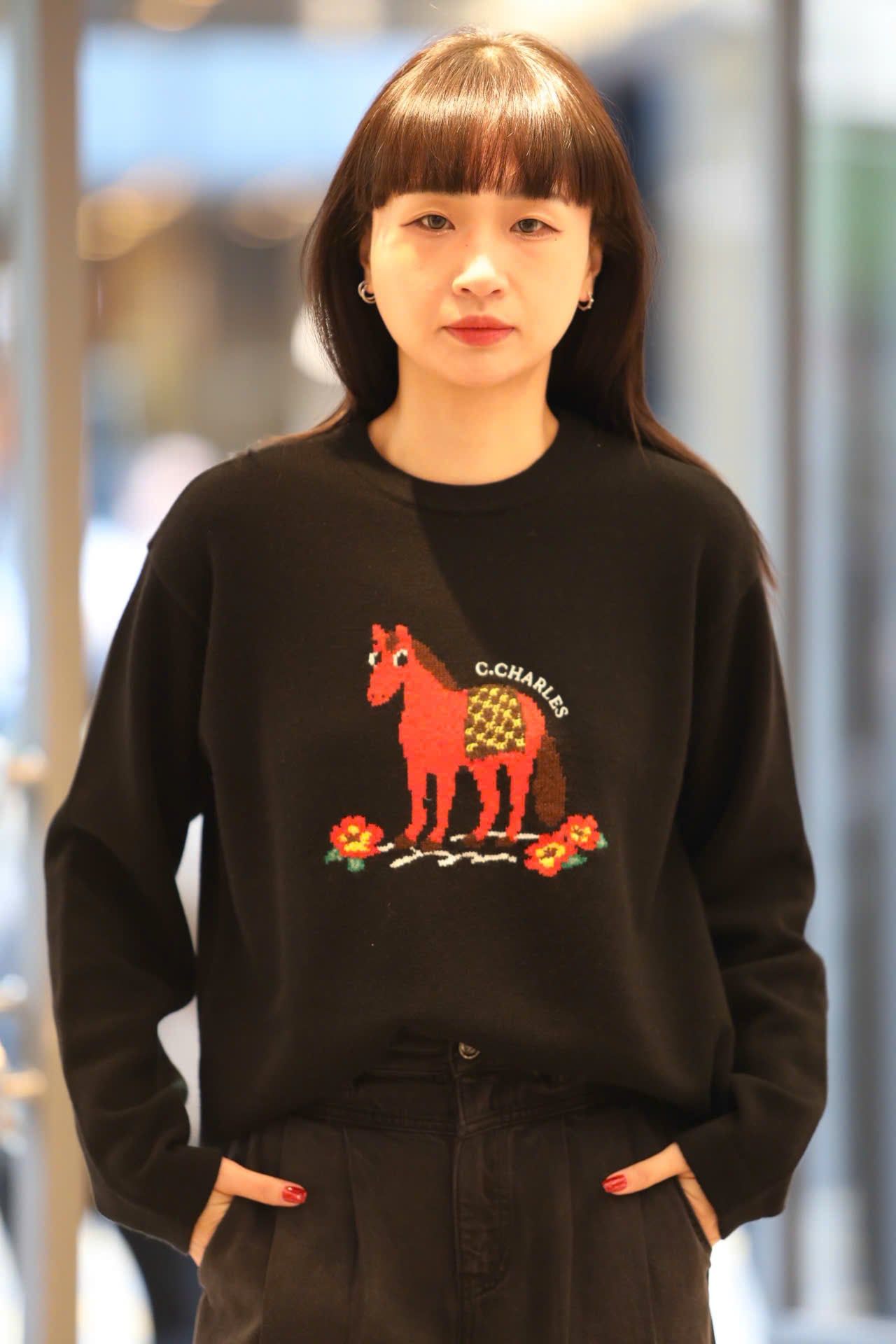  2.Áo len đen dài tay chú ngựa đỏ 