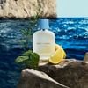 Nước Hoa Nam Dolce&Gabbana Light Blue Pour Homme EDT 100ml