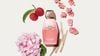 Nước Hoa Nữ Narciso Rodriguez All Of Me Floral EDP 50ml