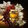 Nước hoa nữ Dolce&Gabbana The One Eau de Parfum Intense 75ml