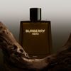 Nước Hoa Nam Burberry Hero Parfum 100ml