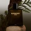 Nước Hoa Nam Burberry Hero Parfum 100ml