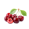 Quả Anh Đào (Cherry) Đỏ Chuông (Regina) Mỹ size 9.5