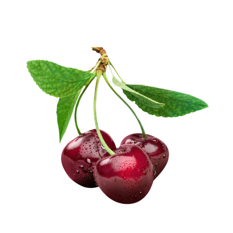 Quả Anh Đào (Cherry) Đỏ Orchard View (Regina) Mỹ size 9.5