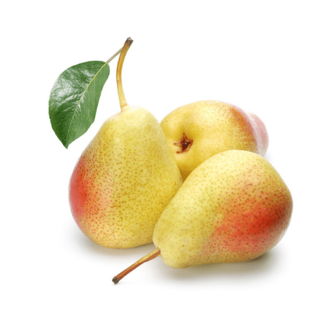 Lê Nam Phi CORE s38 (12.5kg)