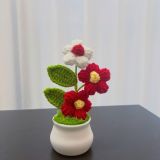  Chậu Hoa Móc Len Thủ Công 
