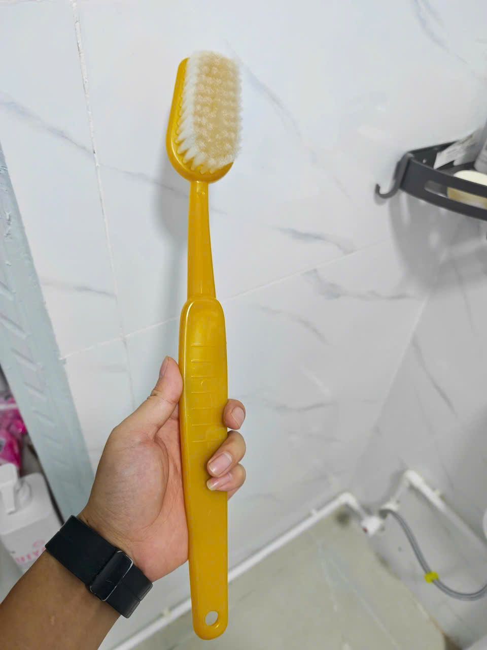  Cây Chà Lưng Kiểu Bàn Chải Đánh Răng 