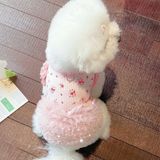  Đầm Hoa Thú Cưng 