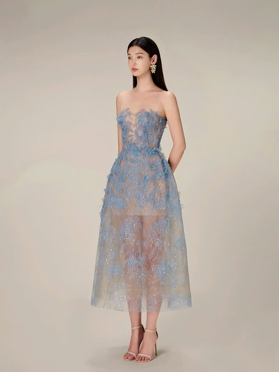  Đầm Ren Sang Trọng Nhẹ Nhàng 