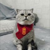  Khăn Quàng Cổ Cho Thú Cưng 