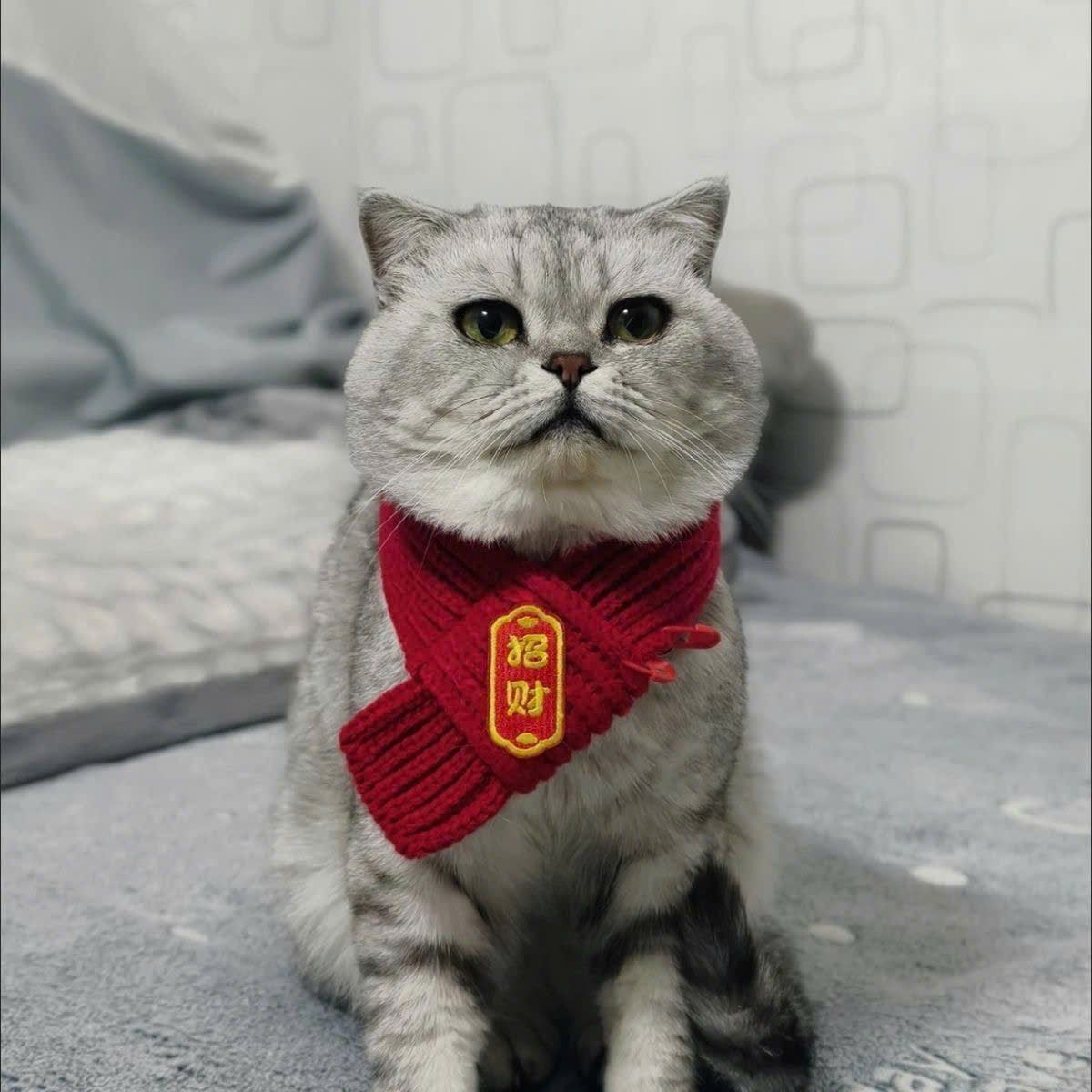  Khăn Quàng Cổ Cho Thú Cưng 