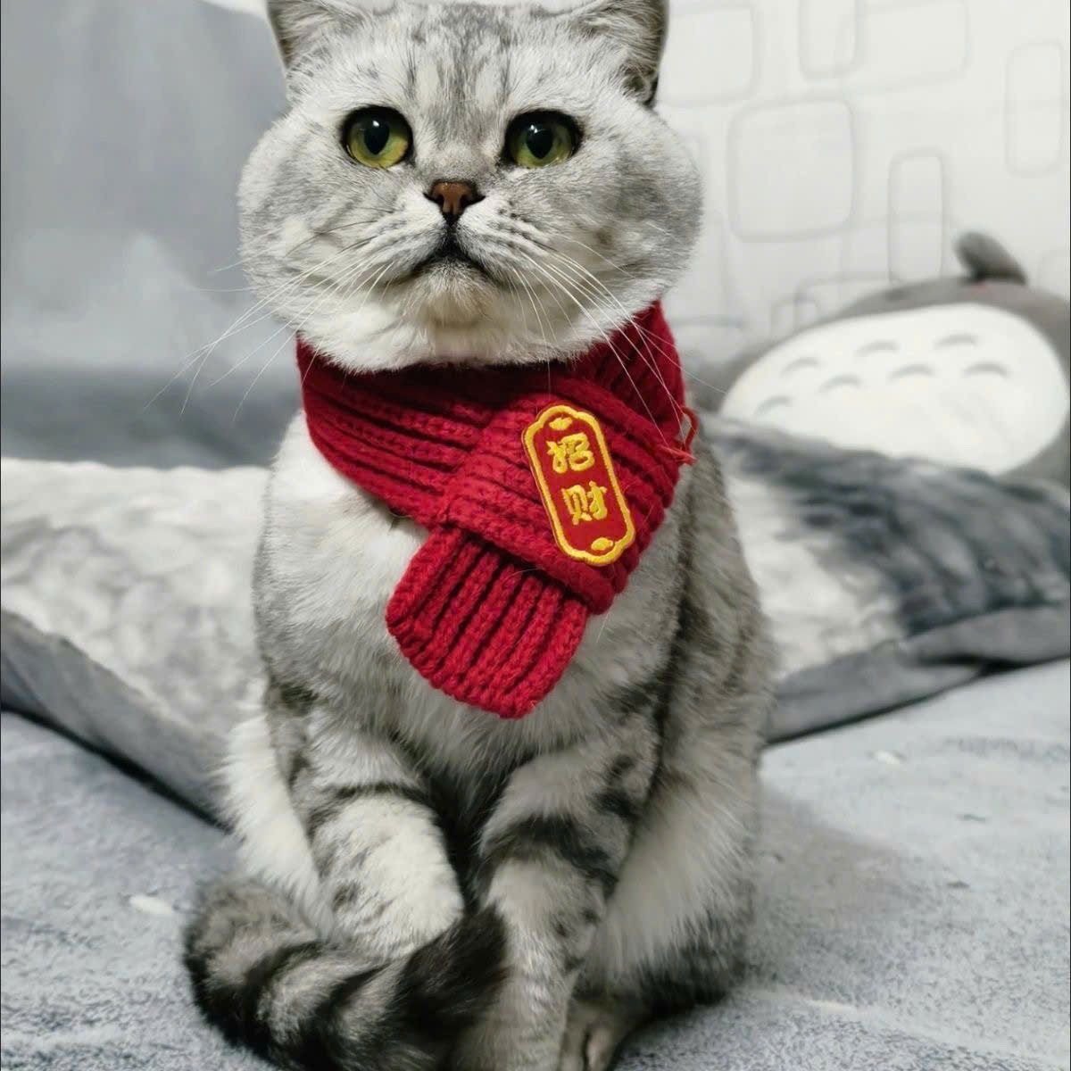  Khăn Quàng Cổ Cho Thú Cưng 