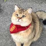  Khăn Quàng Cổ Cho Thú Cưng 