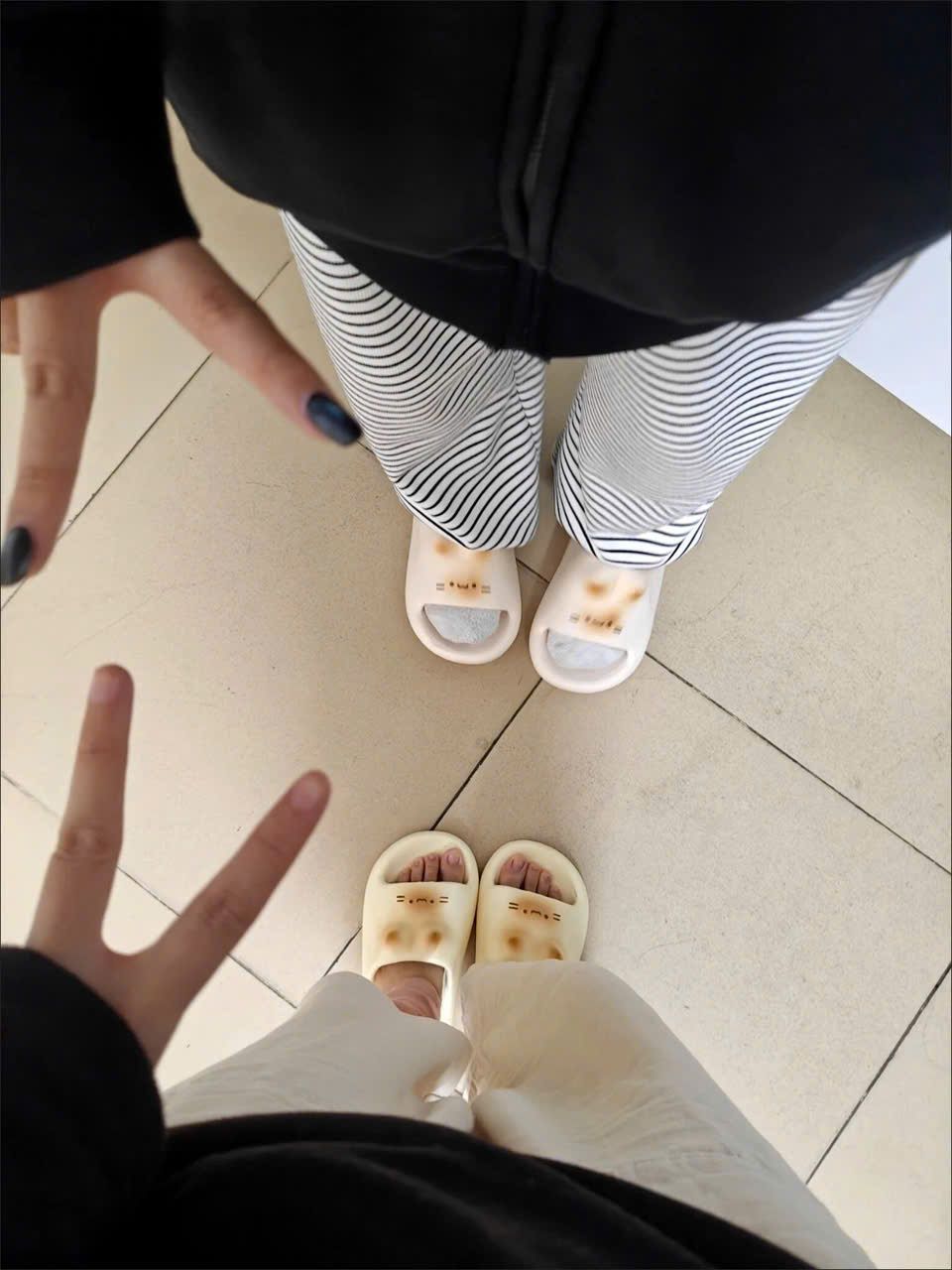  Dép Đi Trong Nhà Hình Con Mèo 