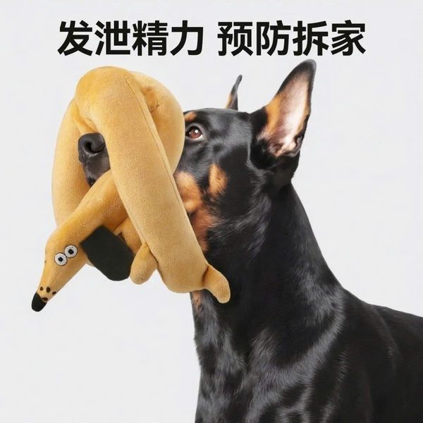  Đồ Chơi Cho Thú Cưng Có Tiếng 