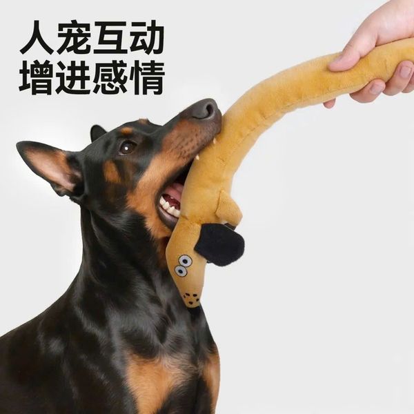  Đồ Chơi Cho Thú Cưng Có Tiếng 