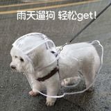  Áo Mưa Chó, Mèo Thú Cưng 