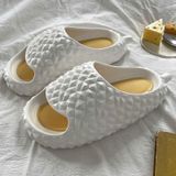  Dép Sầu Riêng Thời Trang 