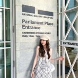  Đầm caro dáng chữ A phong cách Pháp 