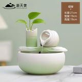  Thác Nước Phong Thủy 