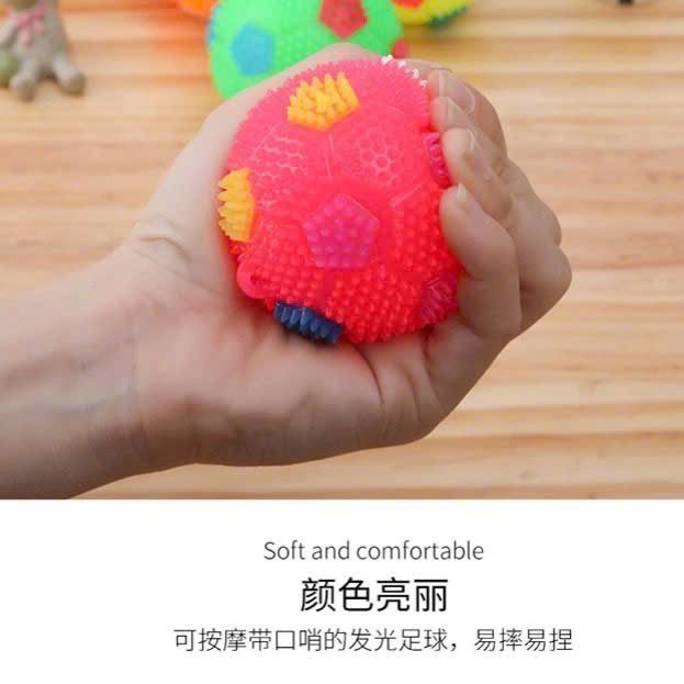  Đồ Chơi Cho Pet Bóng Gai 
