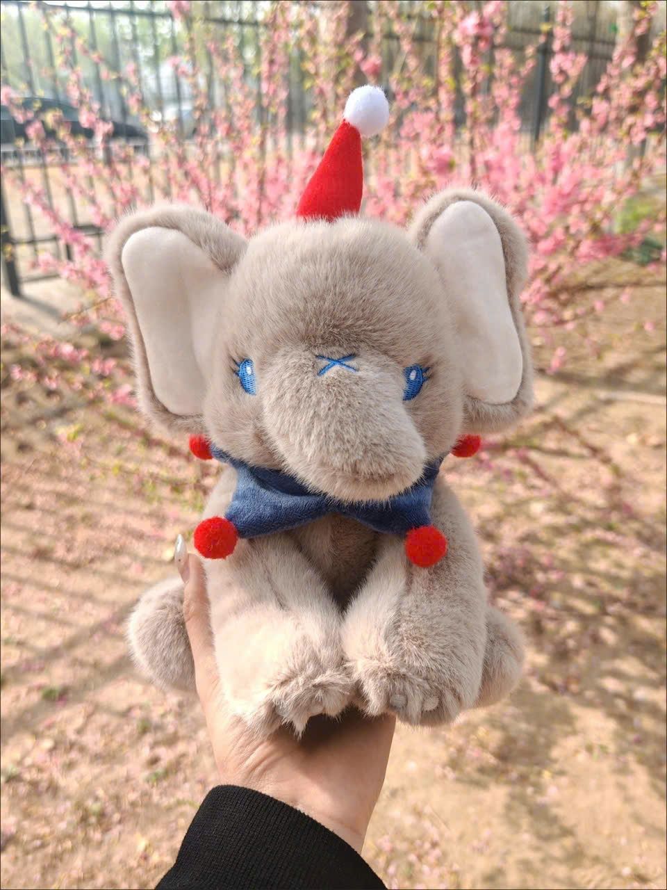  Voi Bông Xám Ngồi Mũ Đỏ 