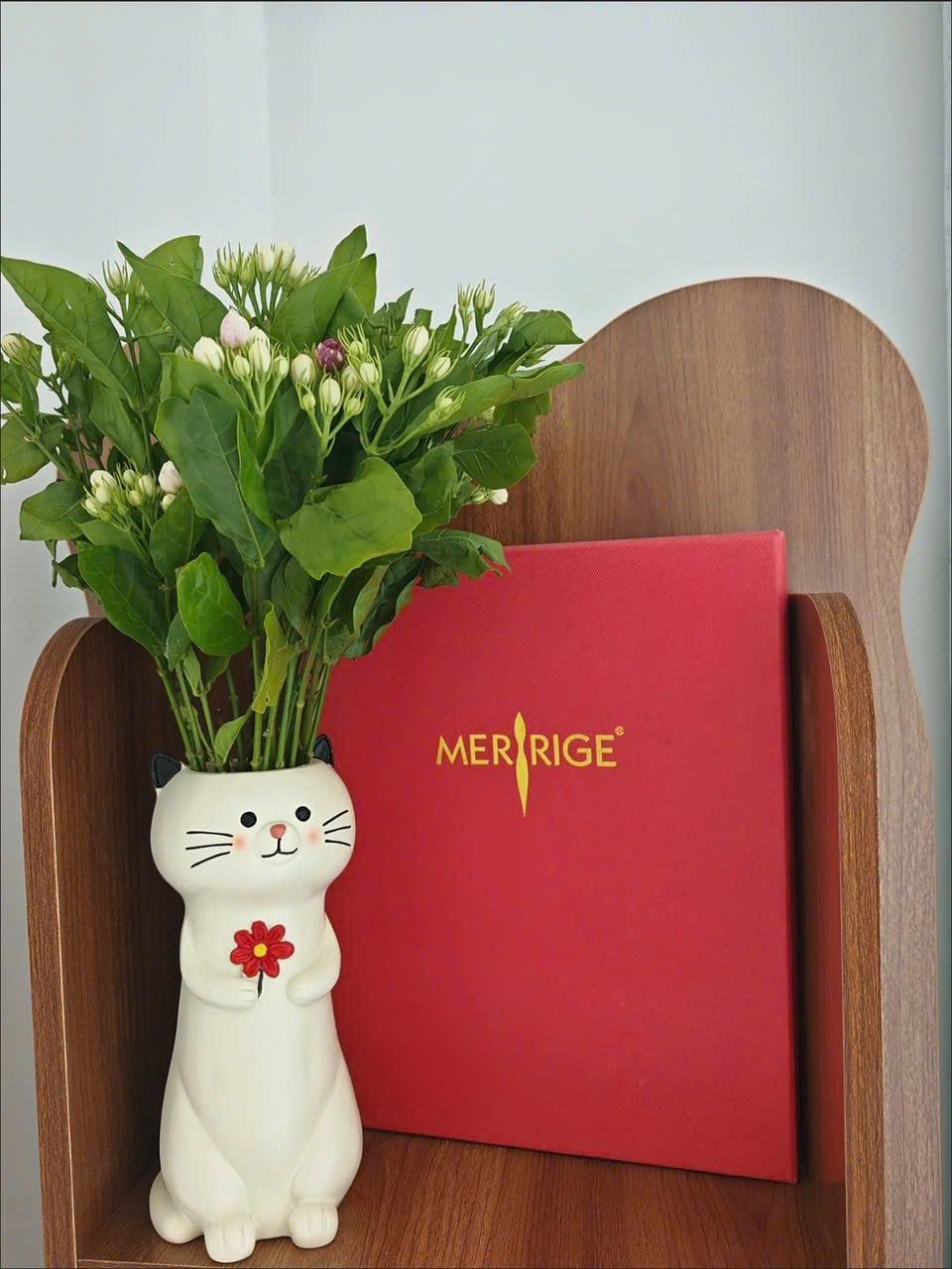  Bình Hoa Hình Chú Mèo Dễ Thương 