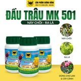  Đầu Trâu MK 501 Nảy chồi - Ra lá 