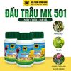  Đầu Trâu MK 501 Nảy chồi - Ra lá 