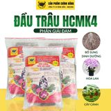  Đầu Trâu HCMK 4 Flower Bio.F 