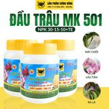  Đầu Trâu MK 501 Nảy chồi - Ra lá 