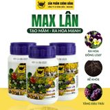  Đầu Trâu Max Lân 58 