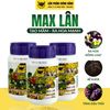  Đầu Trâu Max Lân 58 
