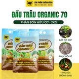  Đầu Trâu ORGANIC 70 