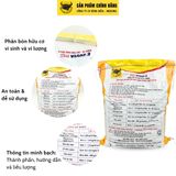  Đầu Trâu MK N.8 VSGAP.3 